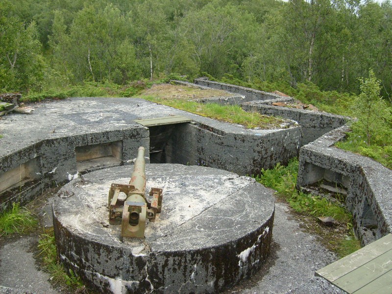 1 033.jpg