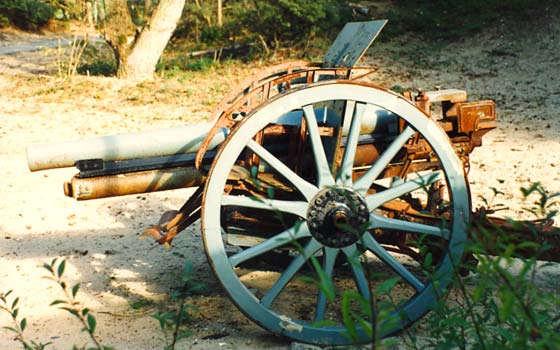 scoda_cannon16.jpg