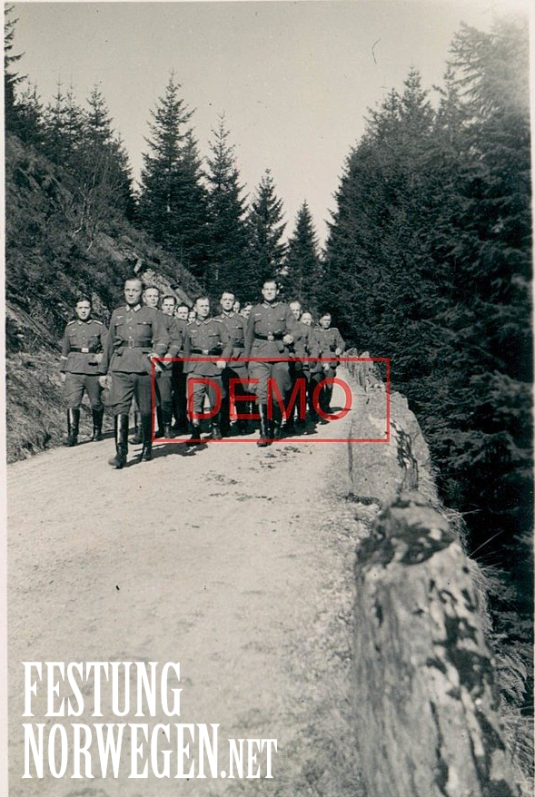 Bergen (Paul S.)