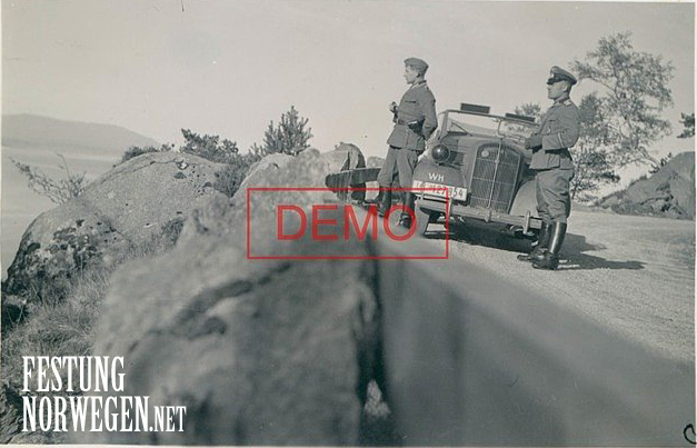 B19.jpg