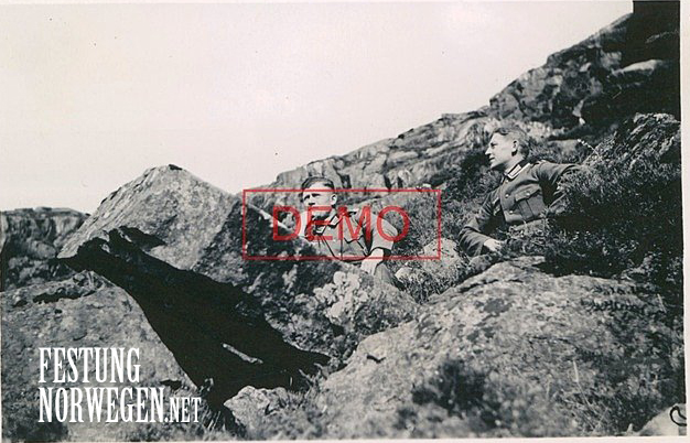 B84.jpg