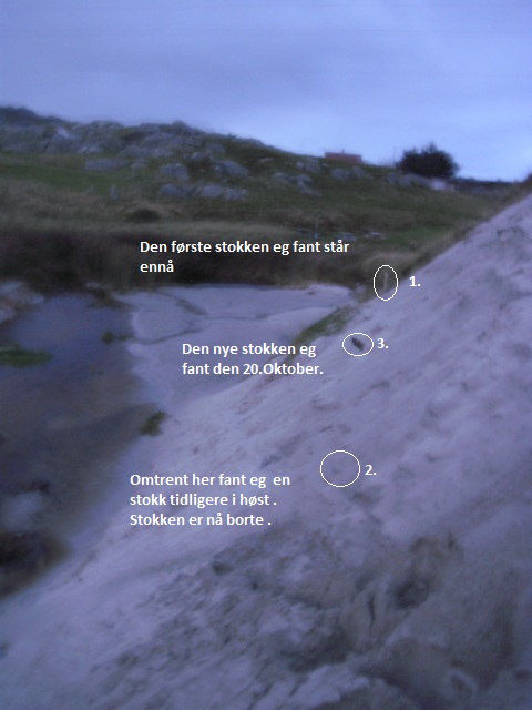 CIMG1871funnede stokker.jpg