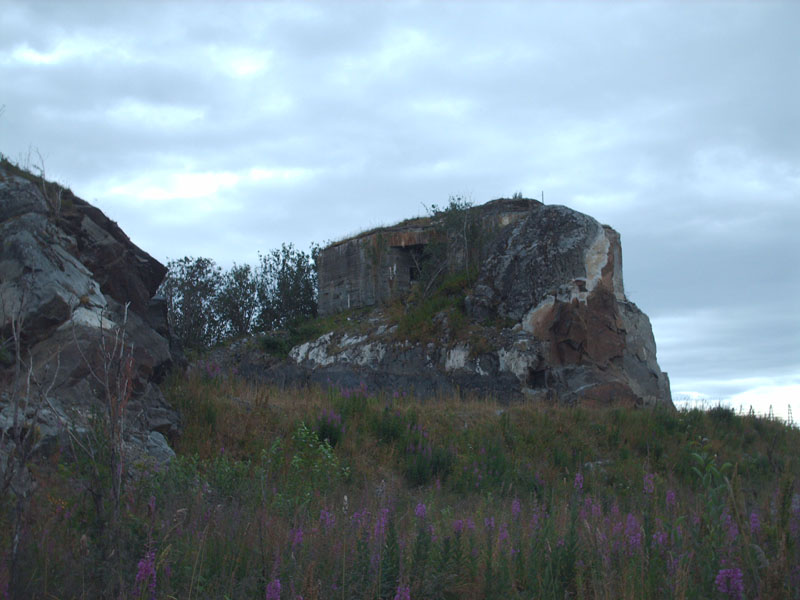 HPIM0993.jpg