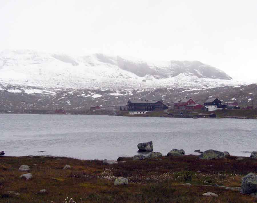 P1030447.jpg