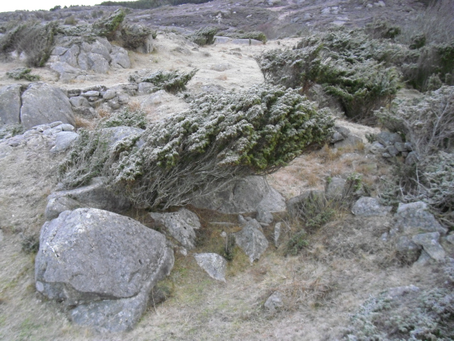 CIMG2005.JPG