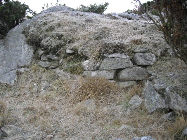 CIMG2007.JPG