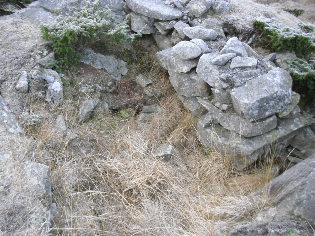 CIMG2008.JPG