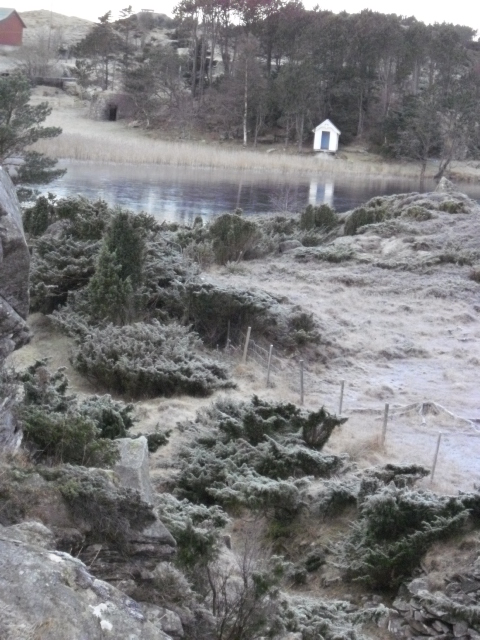 I denne kløften fant eg en godt skjult skytter stilling langs en steingard. Kom desverre ikke på å ta bilde av den ,men KOS har bilder av den .