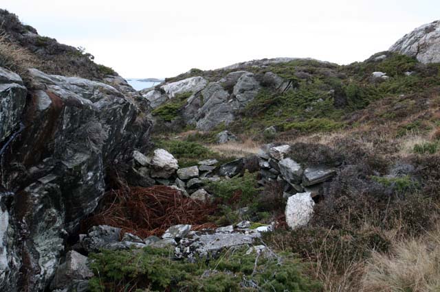 Nærbilde av stillingen. Mot nordvest.