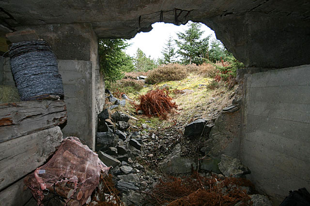 Innenfra og ut i samme bunker.