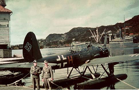 ardo196.jpg