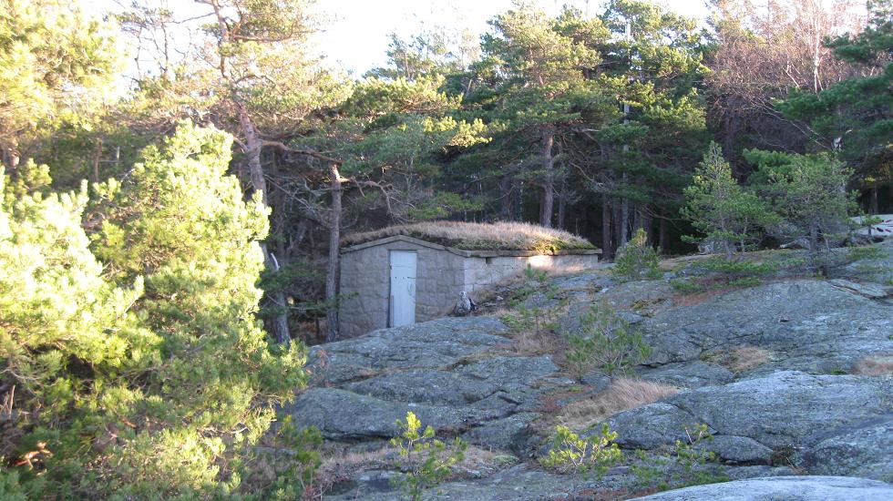 Vabukt-tangen.jpg