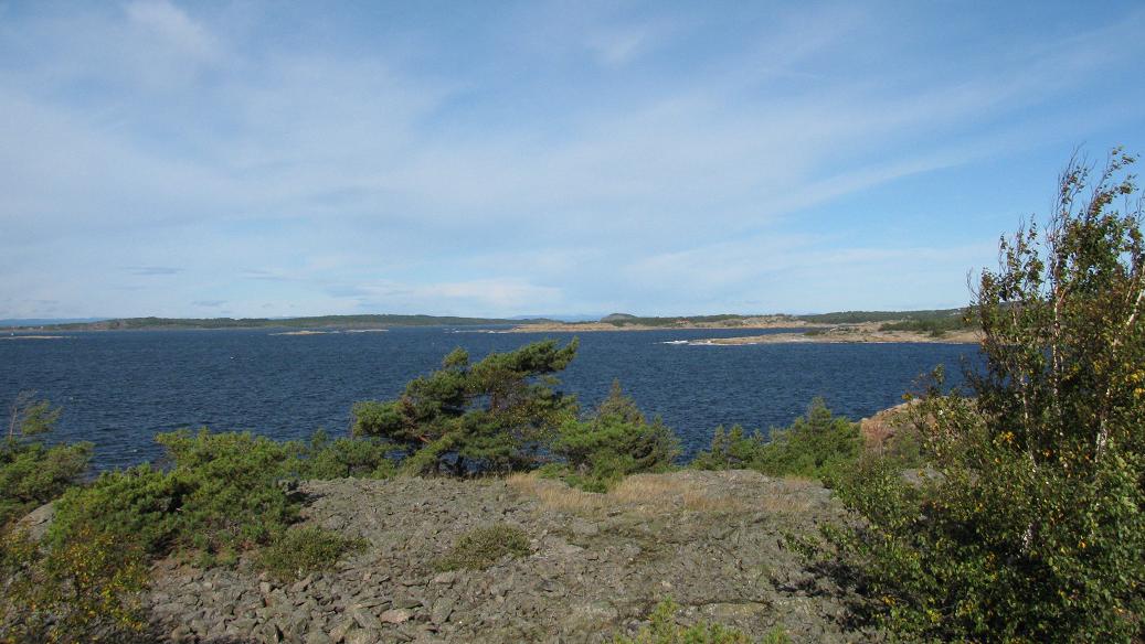 Vabukt-tangen (10).JPG