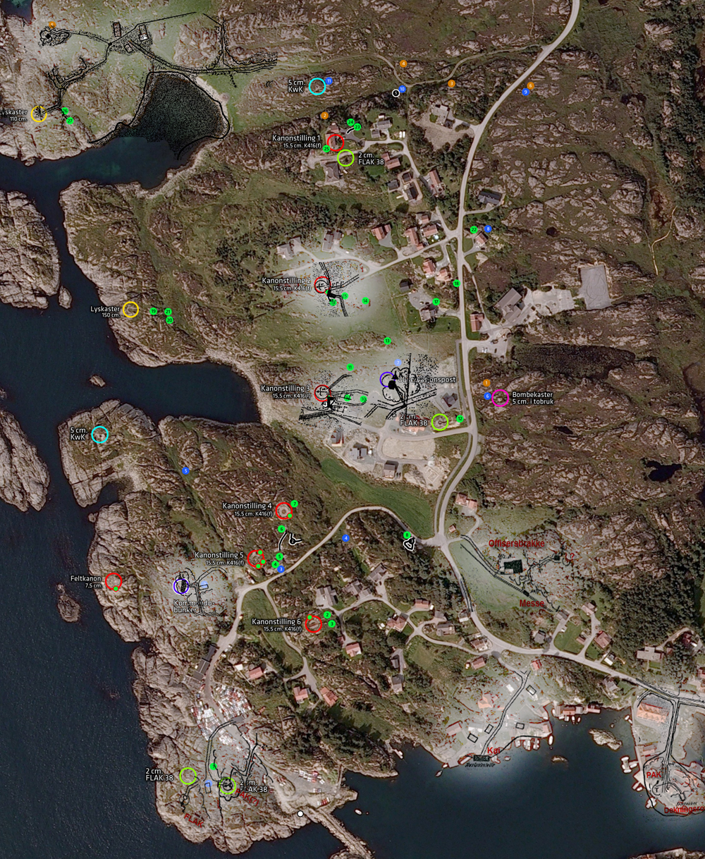 vikene med biter.jpg