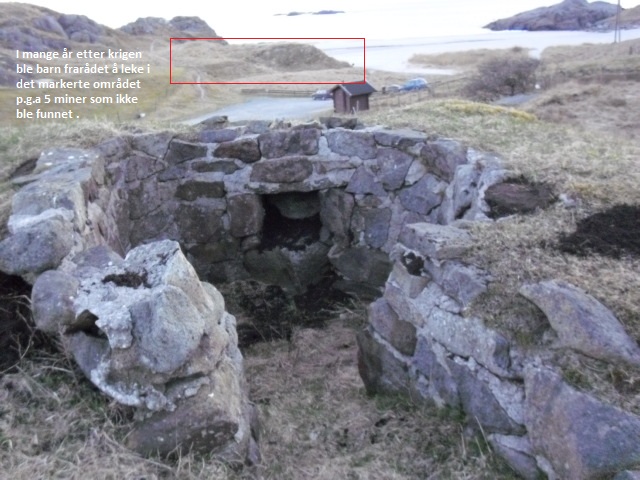 omåde med miner.jpg