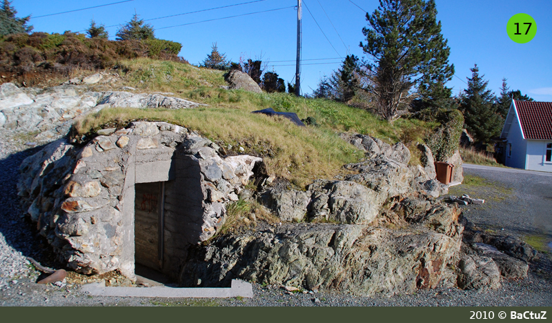Dekningsbunker, Vikene 17.