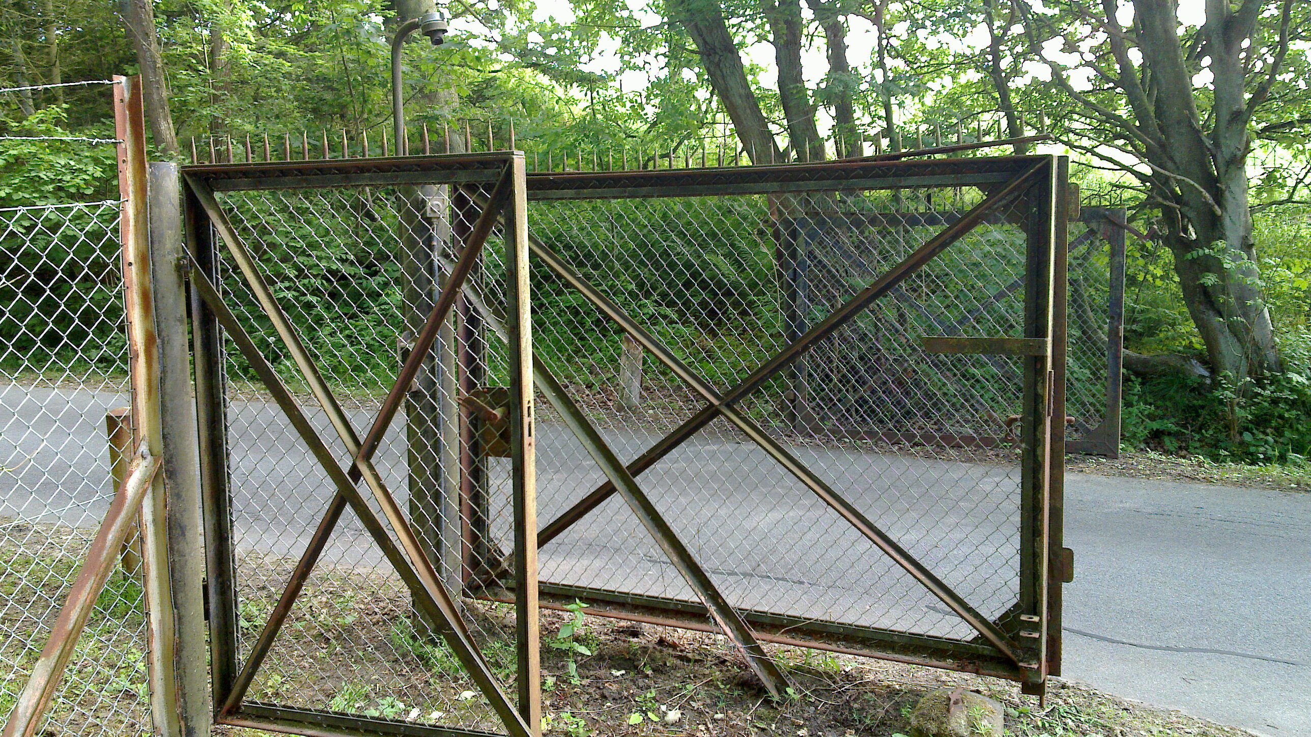 20100617_089.jpg