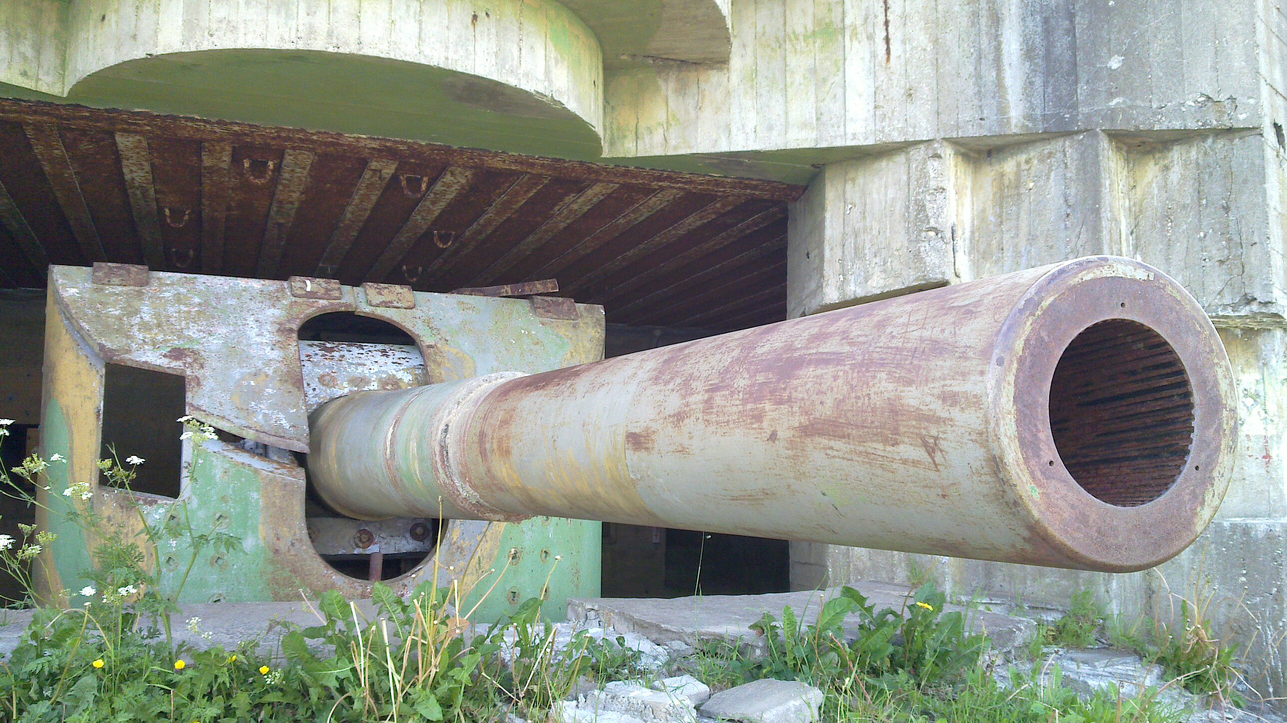 20100617_070.jpg
