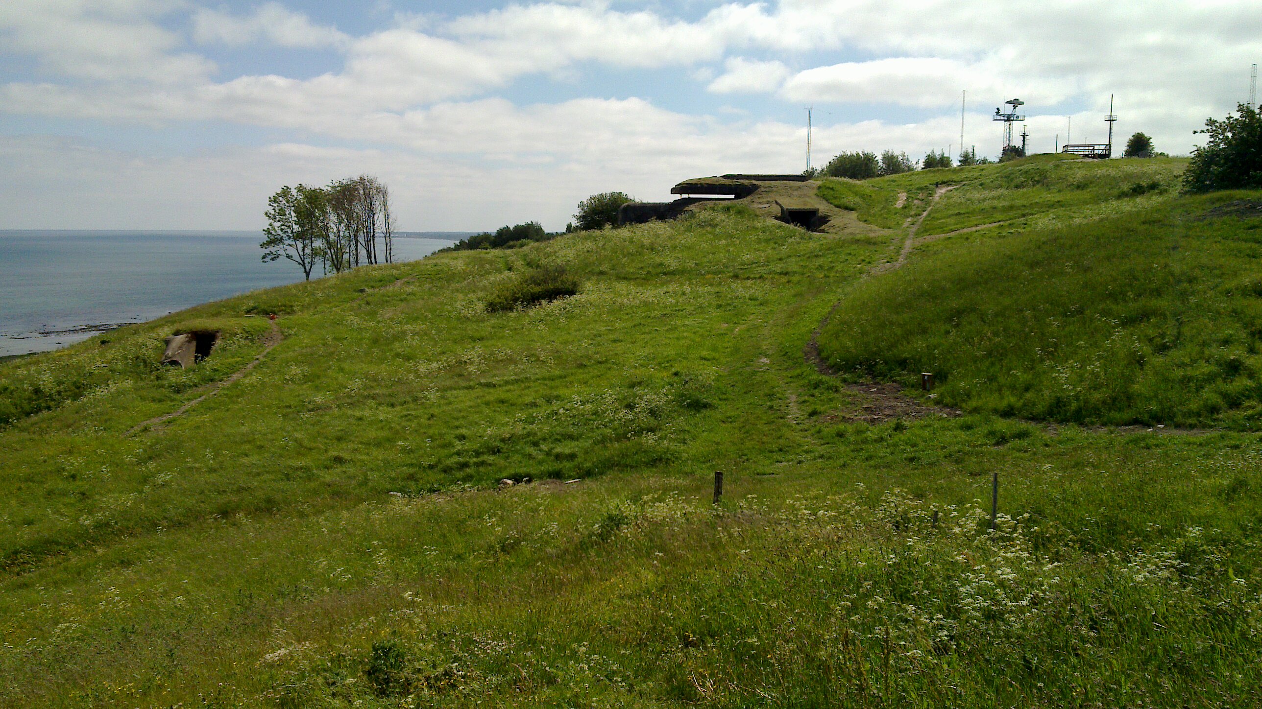 20100617_034.jpg