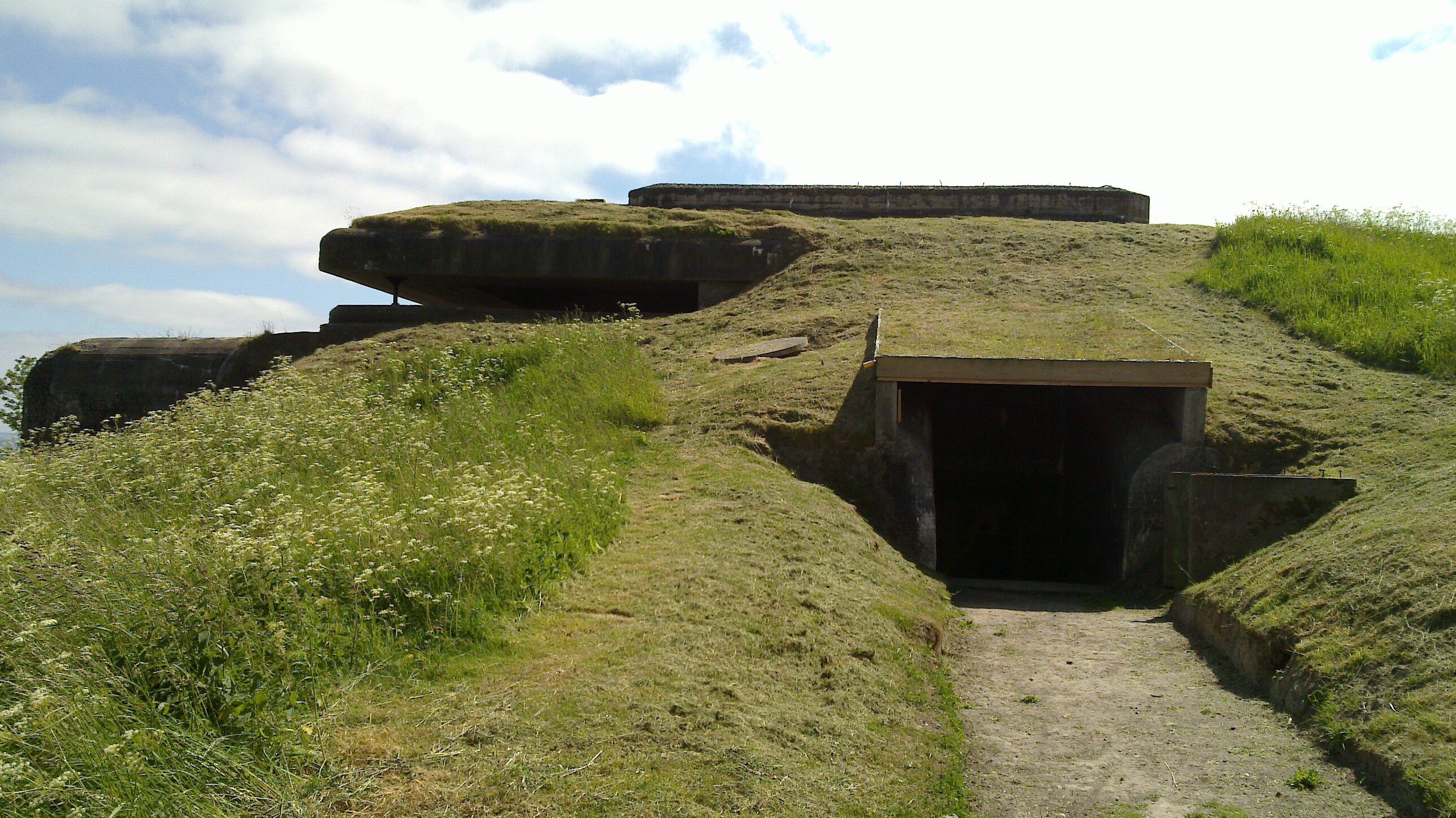 20100617_026.jpg