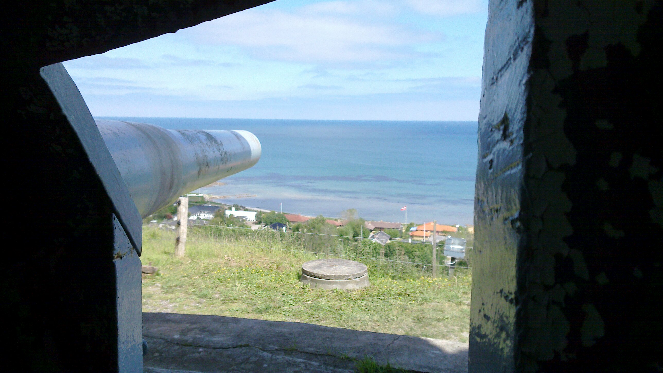 20100617_011.jpg