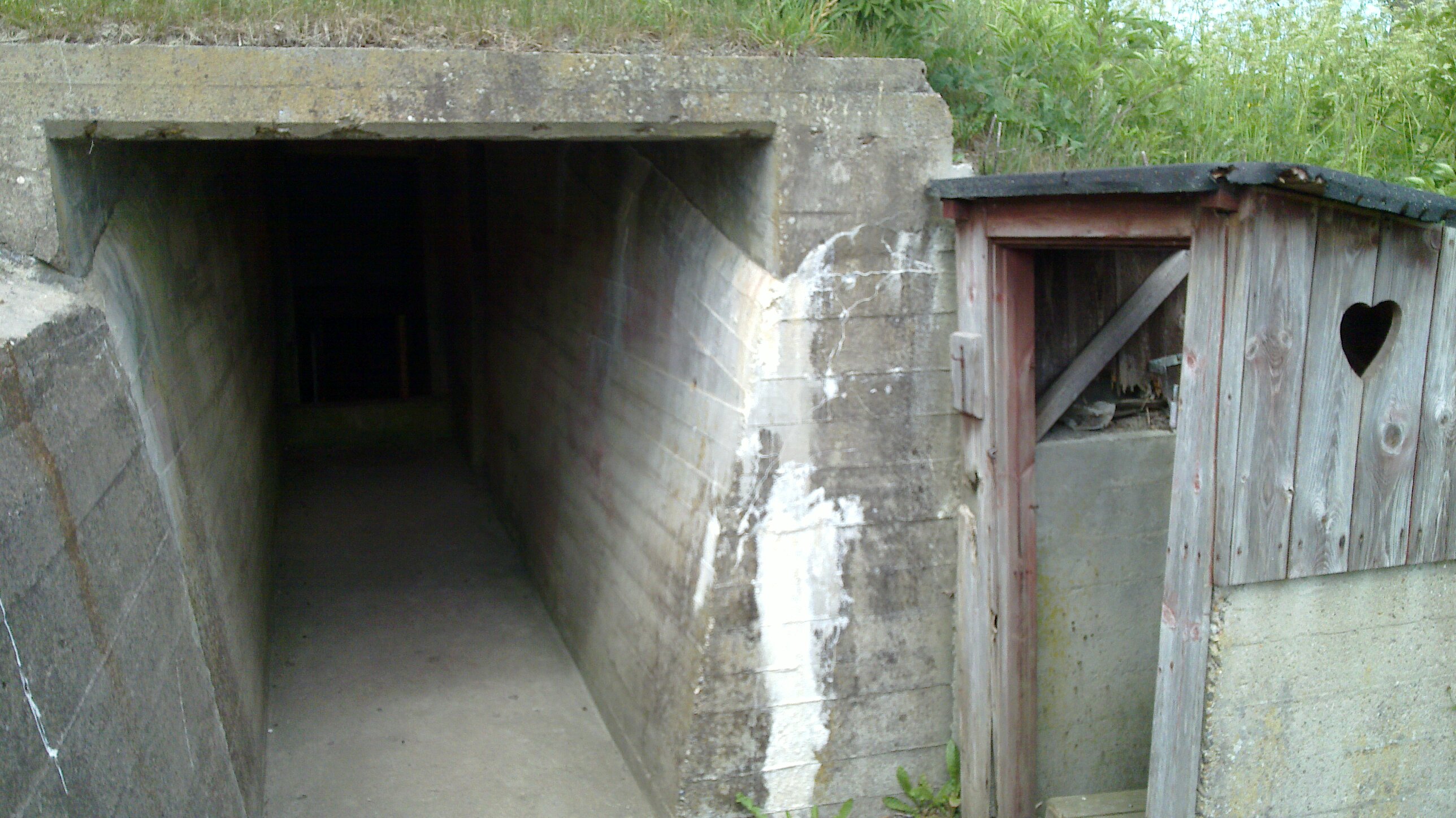 20100617_007.jpg