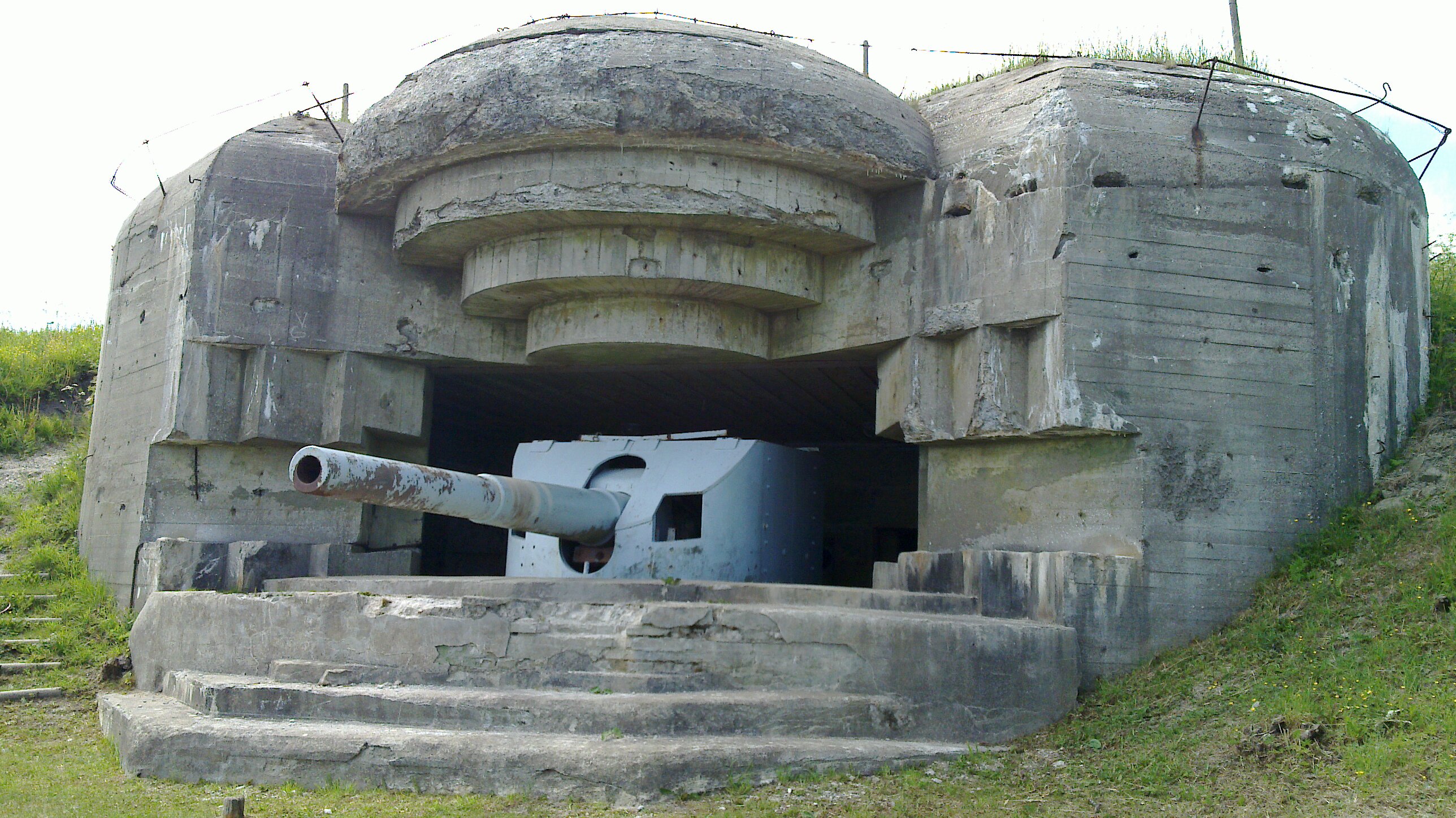 20100617_003.jpg