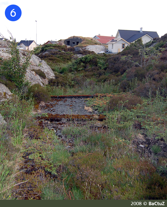 Brakkegrunn 6