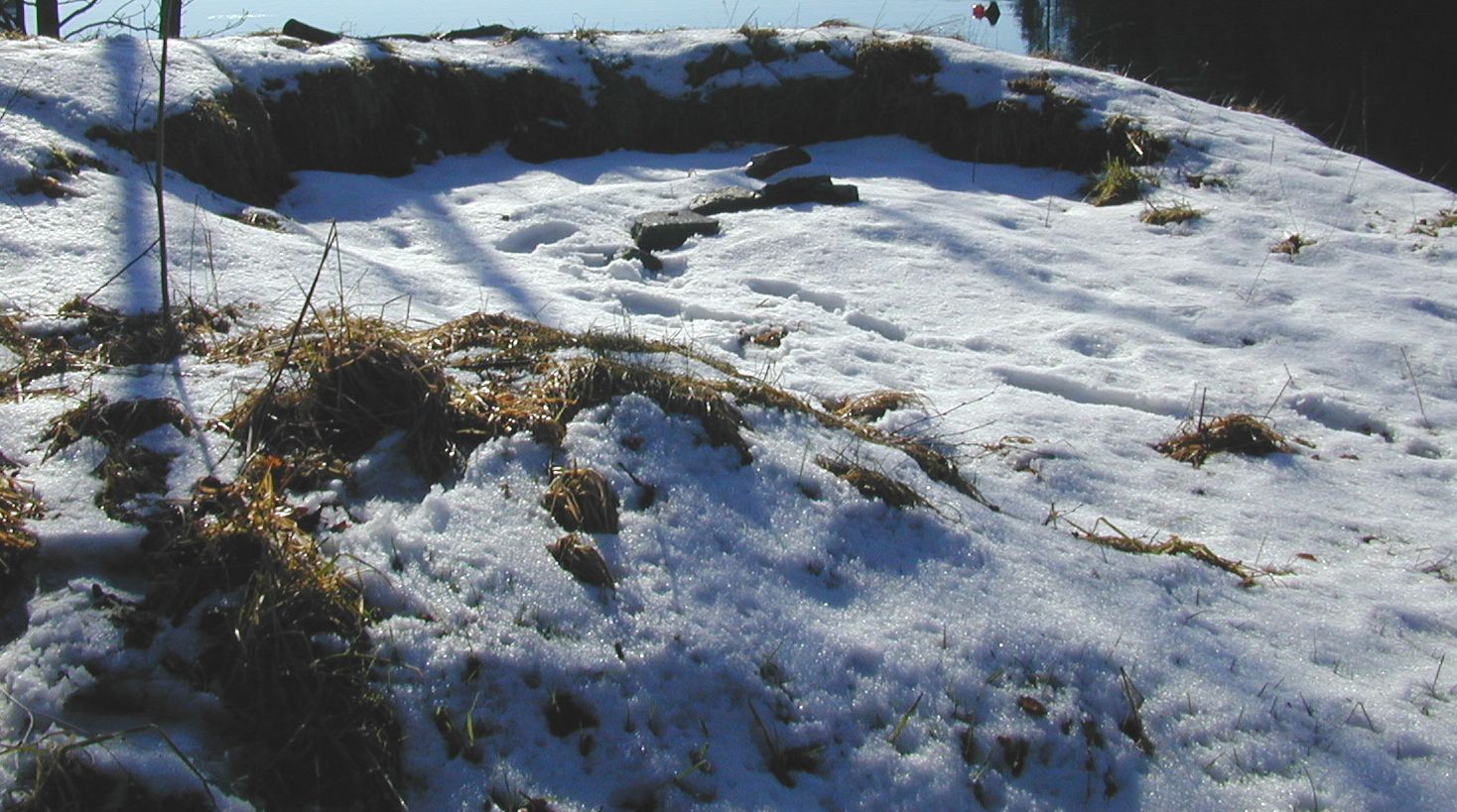 DSCN2670.JPG