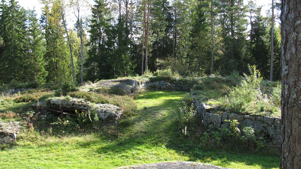 Skoraas S (2).JPG
