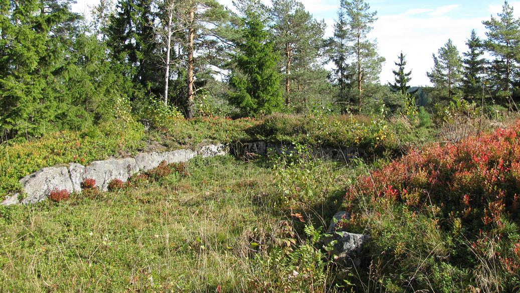 Skorås N (1).JPG