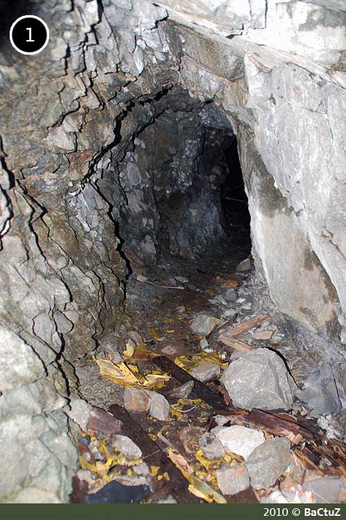 - hule tunnel 1.jpg