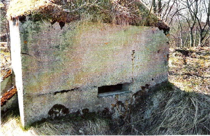 MG bunker 3.jpg