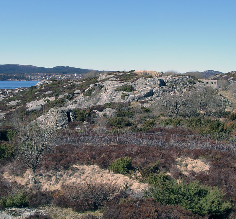 DSCN5584.jpg