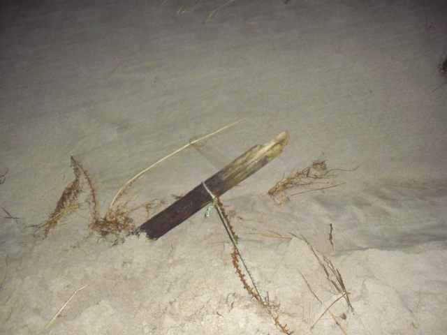 Godt eg sikret den med tau tidligere