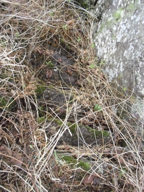 En stund siden trappene ble rensket sist ,sa han som bor her .