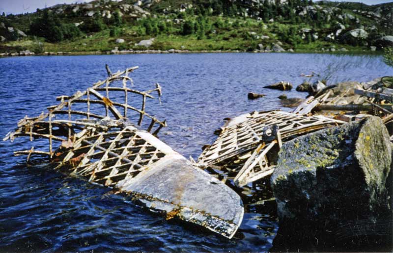 Halefinne og vinge fra N for Nuts i 1984. Foto Halvor Sperbund