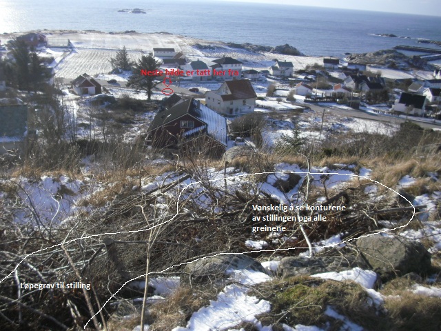 full av greiner.jpg
