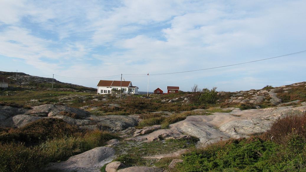Vikerhalsen (4).JPG