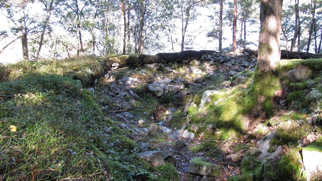 Torsnes (2).JPG