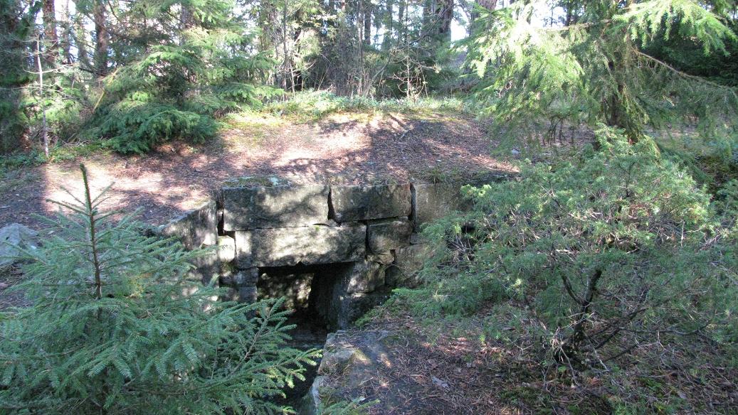 Torsnes (12).JPG
