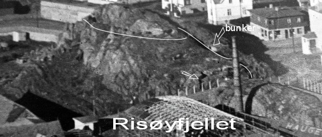 Risøyfjellet_5 (2)_1.JPG