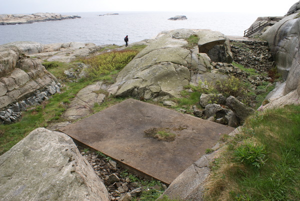 DSC01317.JPG