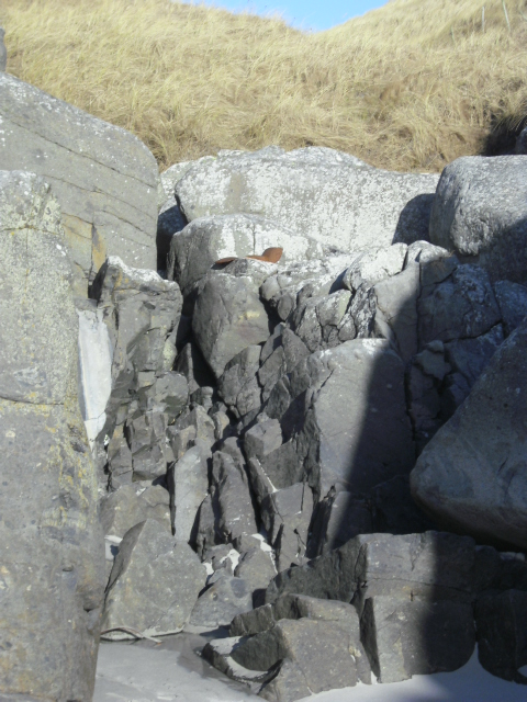 Når det er lite sand her er det lett å se at en mine har blitt detonert her .