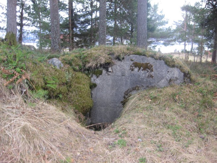 I skogen ovenfor noen av låvene som var ibruk av tyskerne til lager, ligger denne ammo/dekningsbunkeren...