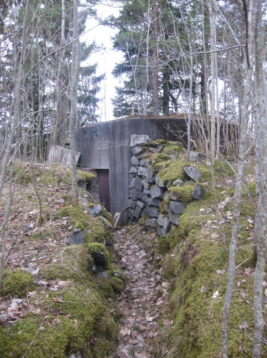 Løpegraven/skyttergraven v. Tøssesvingen fører til denne &quot;Tobruk/Ringstand&quot;-bunkeren/skytestillingen. Samme som forrige, men sett fra en annen vinkel. Stillingen/bunkeren inneholdt ett rom, og var vanligvis stilling for bombekaster eller maskingevær.