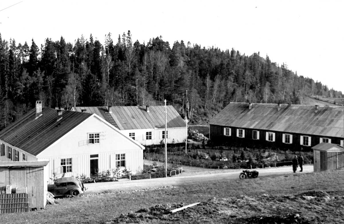 lwnach260311-0001.jpg
