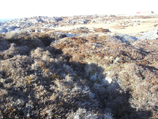 Nesten "slukt" av lyngen denne ,men eg fant den allikevel.Det er denne stillingen eg ikke klarer å se på oversiktskartet.