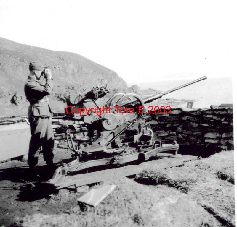 27_Flakstand_ost.jpg