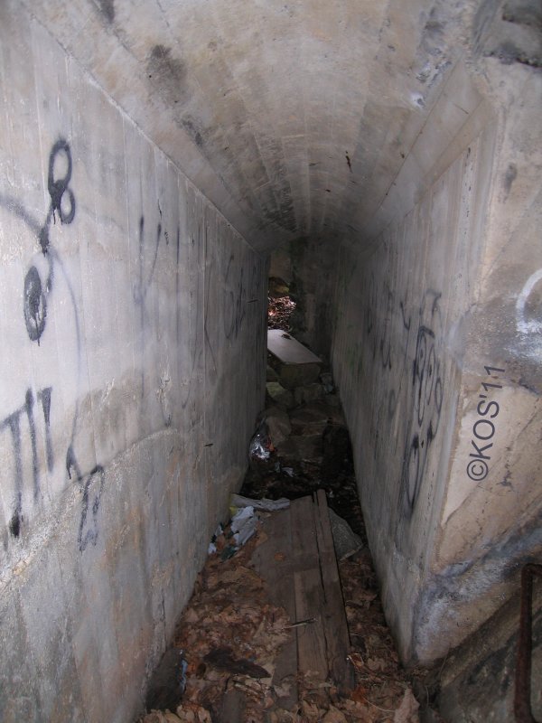 20110422_005_1.jpg